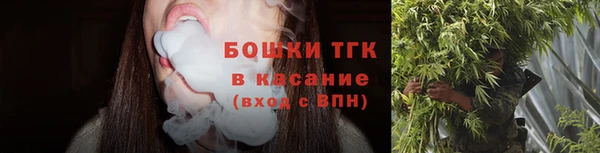 ECSTASY Богородск