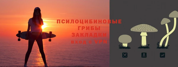 ECSTASY Богородск