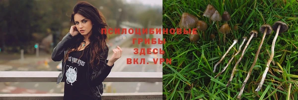 ECSTASY Богородск