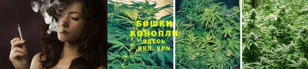 МДПВ Богородицк